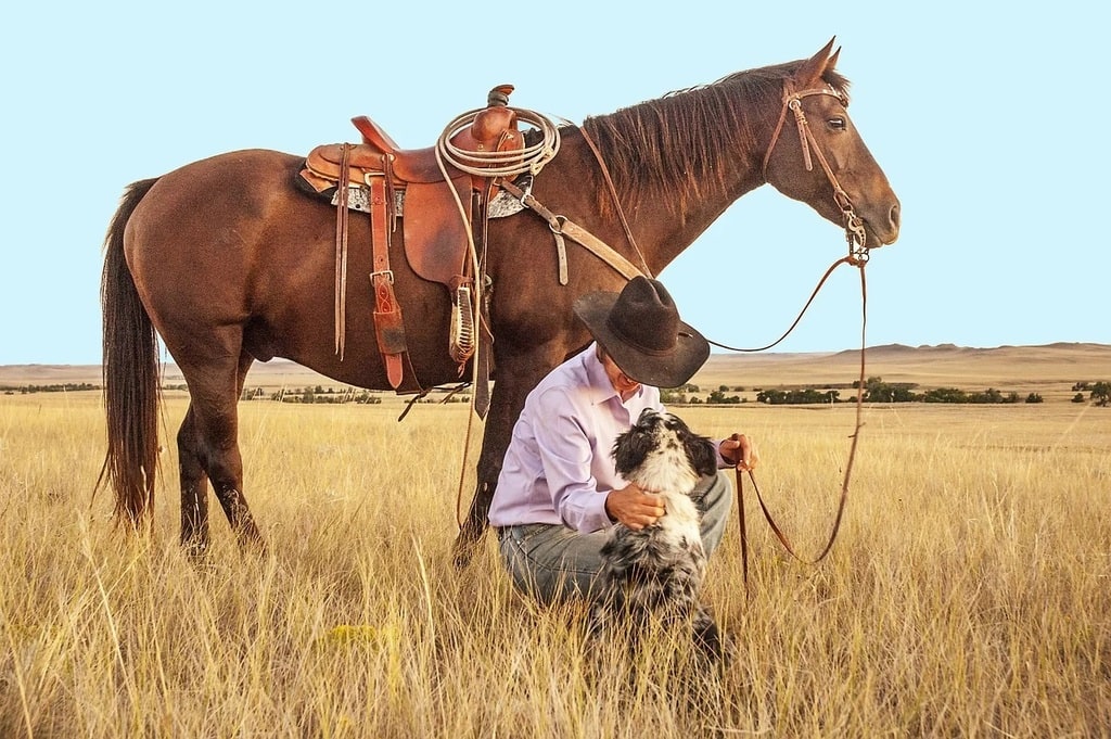 Pourquoi couvre-t-on les chevaux ?